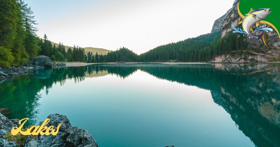 Fishing Lakes in Alabama