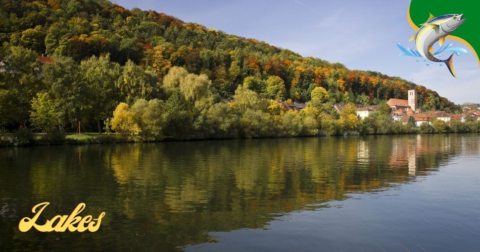 Fishing Lakes in Texas