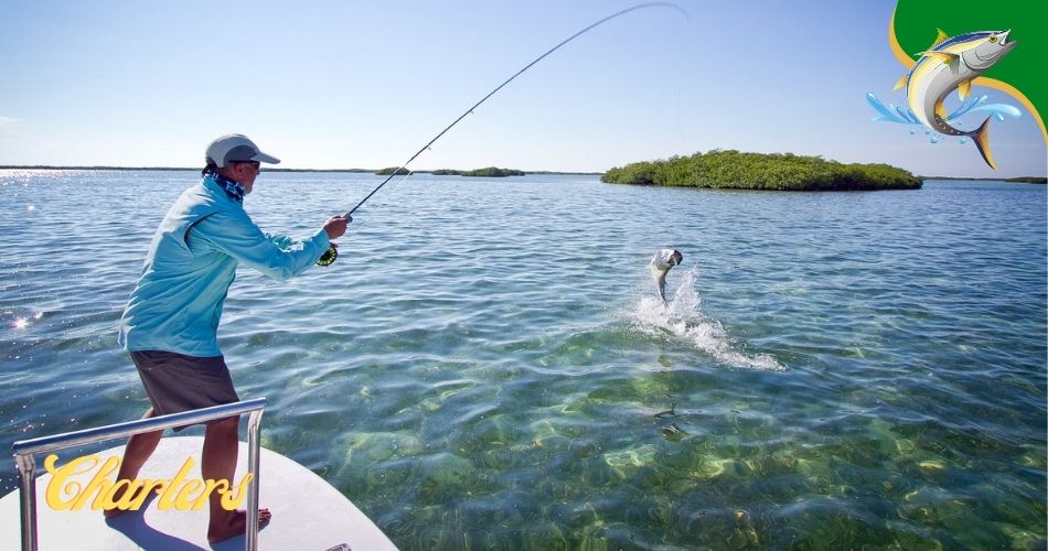 Avon Nc fishing charters