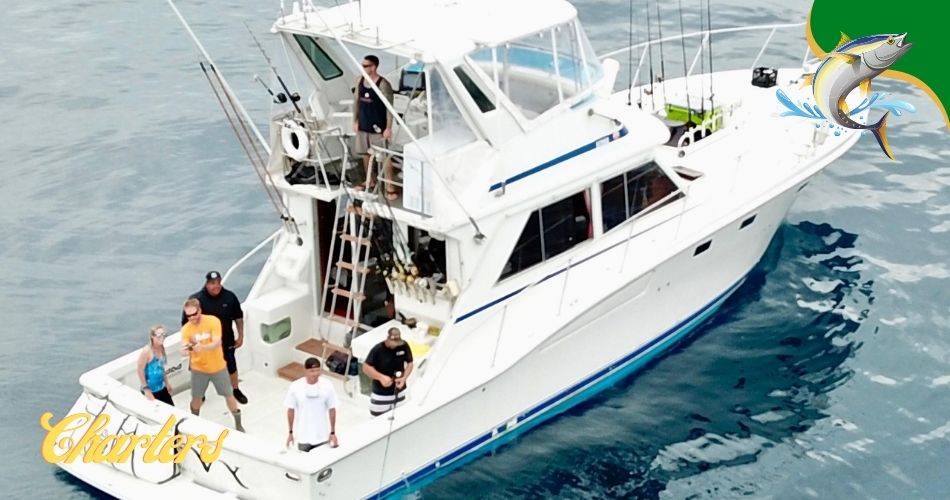 Treasure Island fishing charters