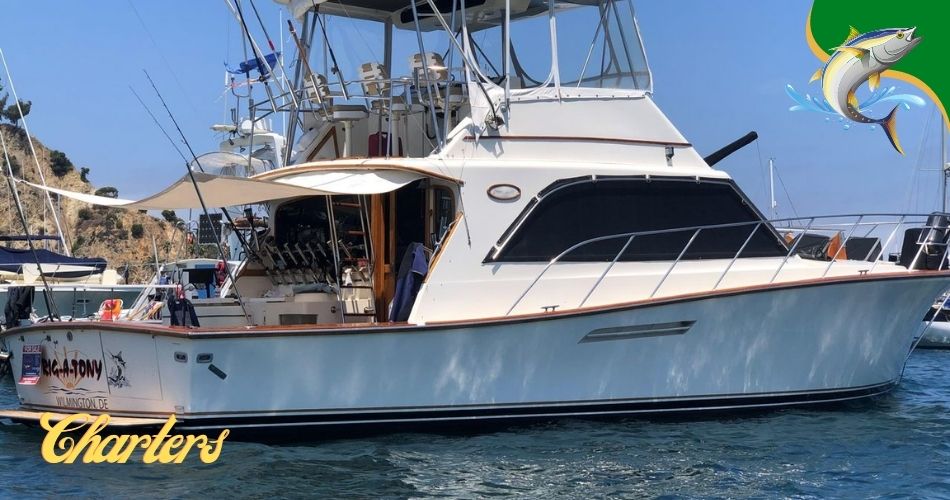 Beaufort Sc fishing charters