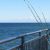 Fishing Piers In San Diego