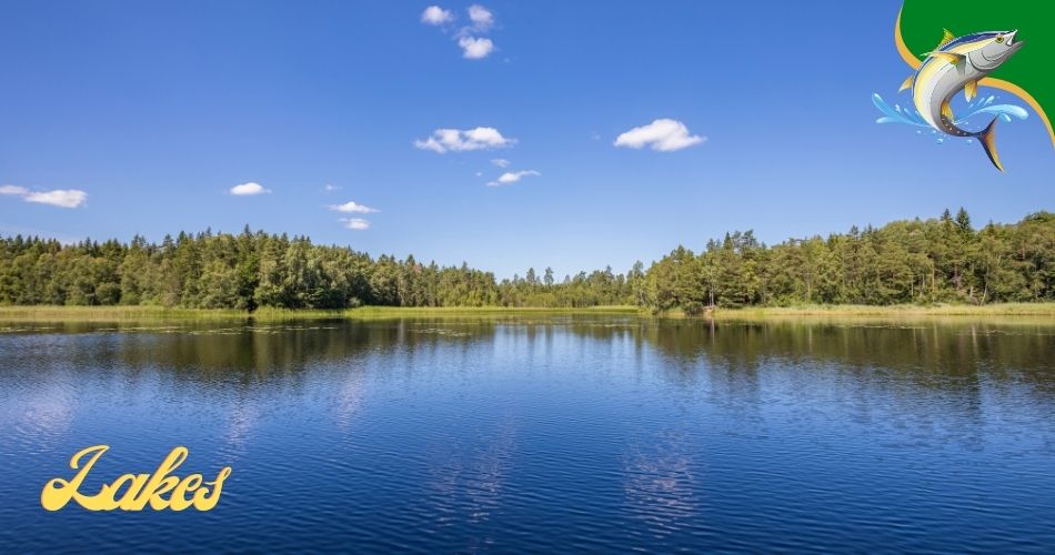 Fishing Lakes in Los Angeles