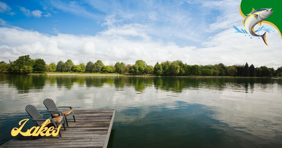 Fishing Lakes in Georgia