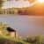 Fishing Lakes In West Virginia