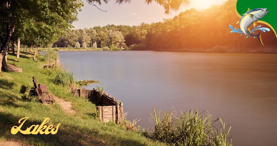 Fishing Lakes in West Virginia