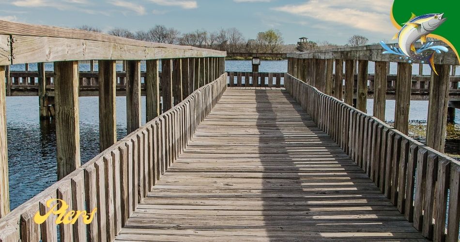 fishing piers in Savannah
