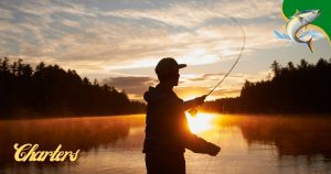 Cortez fishing charters