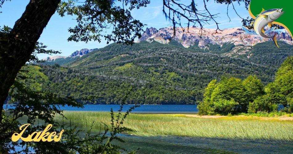 Fishing Lakes in South Carolina
