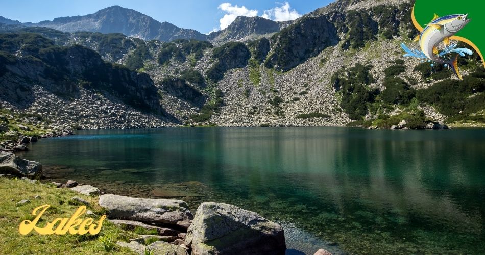 Fishing Lakes in Southern California