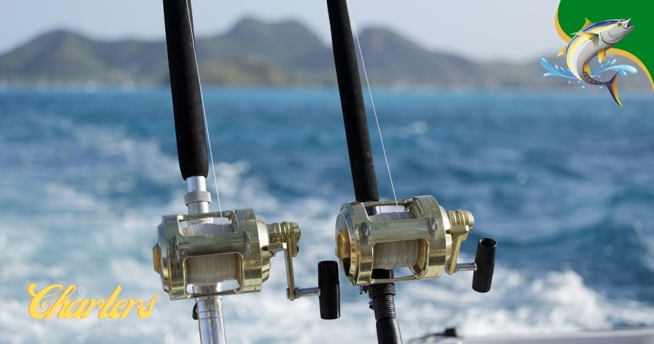 Everglades fishing charters
