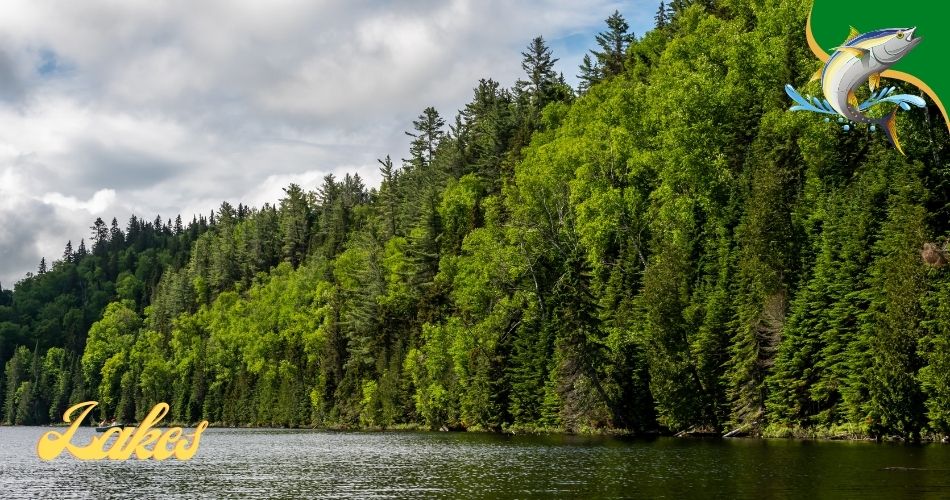Fishing Lakes in Kentucky