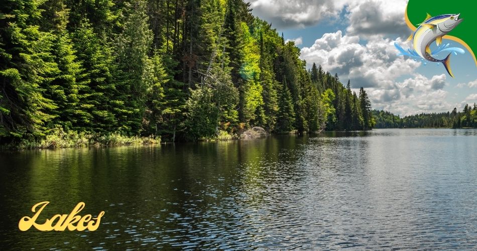 Fishing Lakes in California
