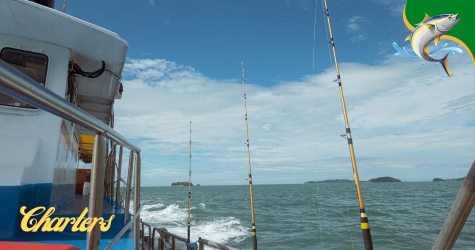 Corolla fishing charters