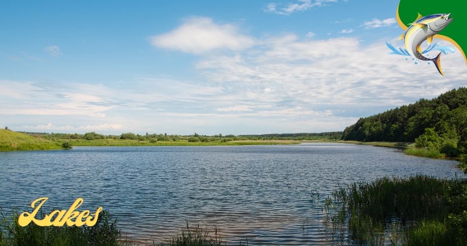 Fishing Lakes in San Diego