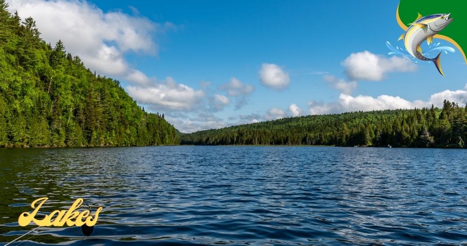 Fishing Lakes in Tennessee