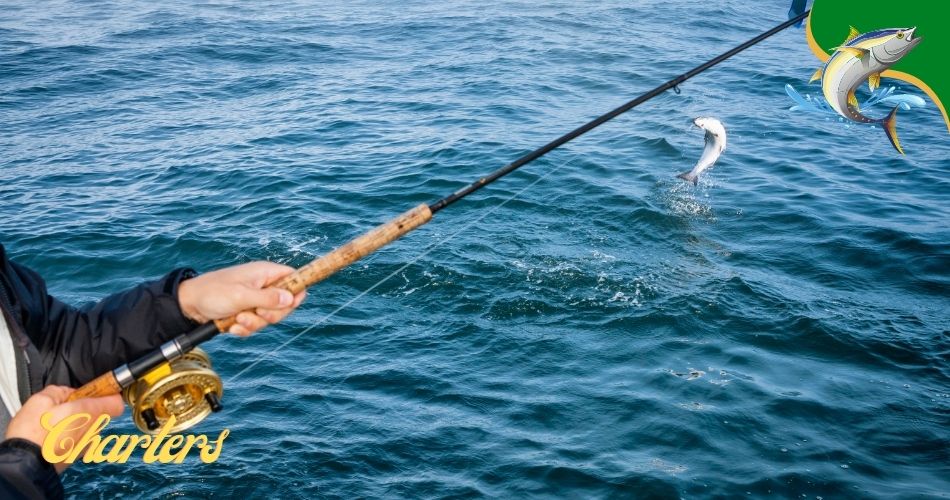 fishing charters Anna Maria Island