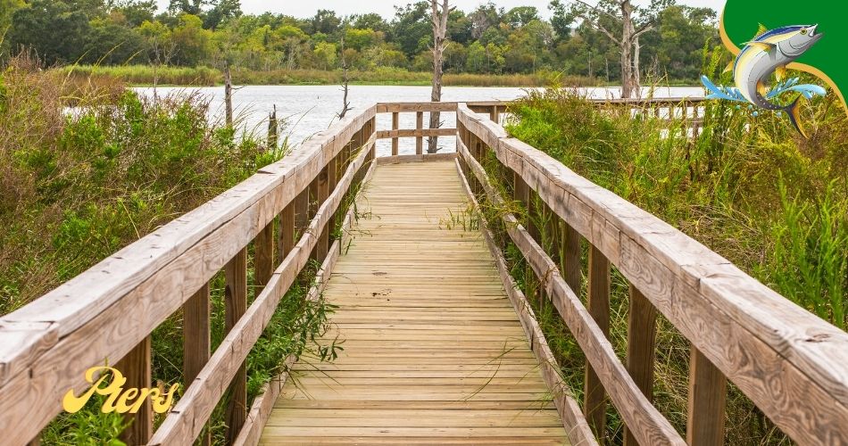 fishing piers in Sarasota