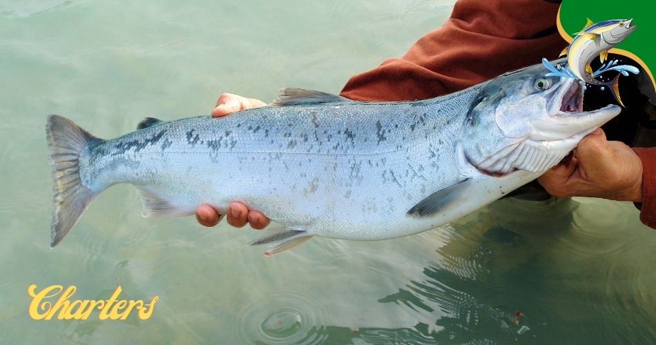fishing charters Raritan Bay