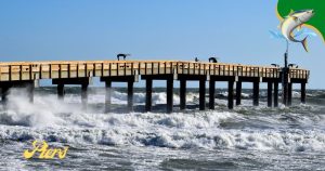 fishing piers in Homosassa