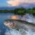 Lake Erie Fishing Charters