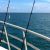 Bimini Fishing Charters