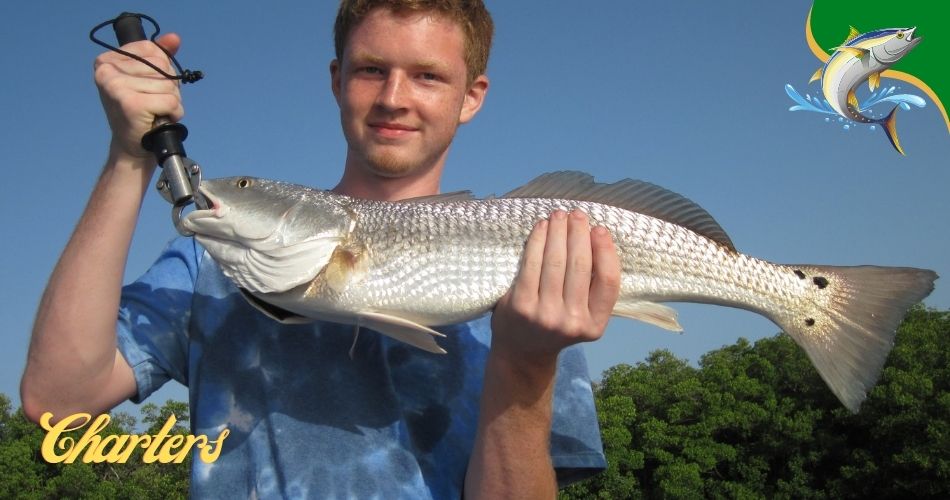 Dry Tortugas fishing charters