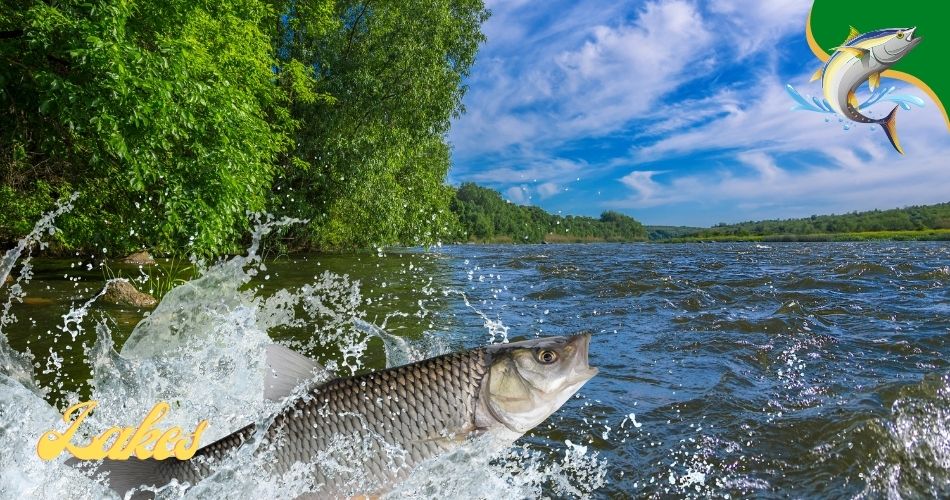 Fishing Lakes in Mississippi