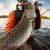 Fishing Charters St Thomas