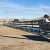 Fishing Piers In Ocala