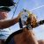 Fishing Charters Wildwood Nj
