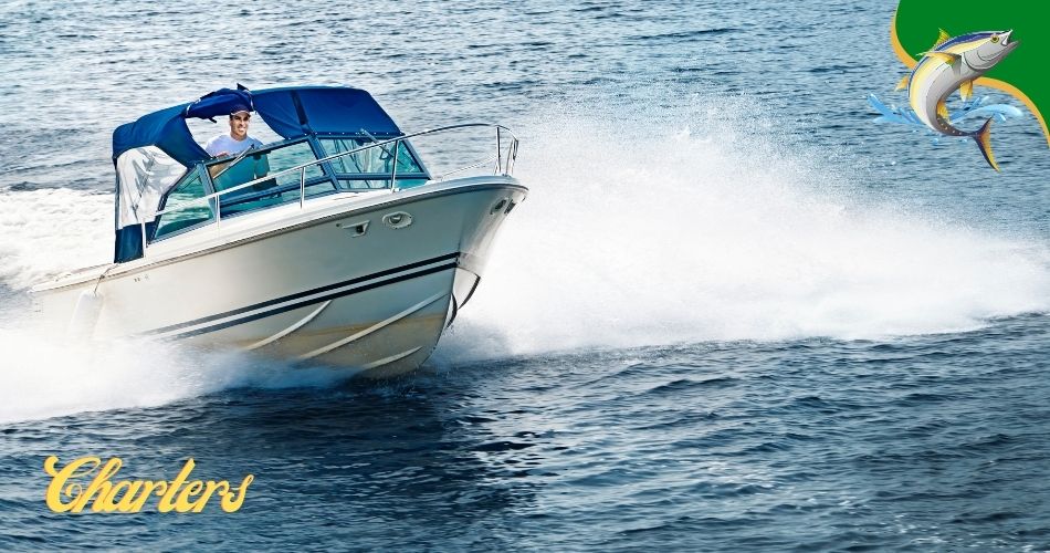 Belmonte fishing charters