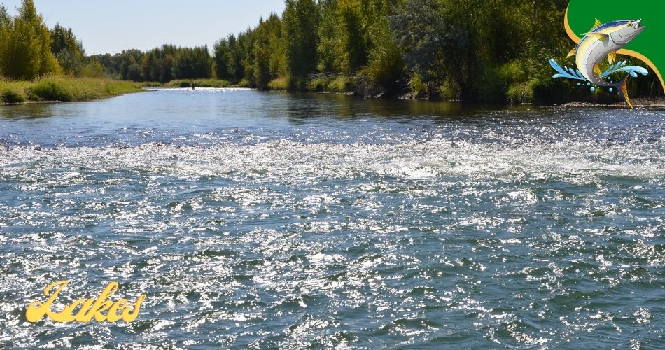 Fishing Lakes in Upper Peninsula
