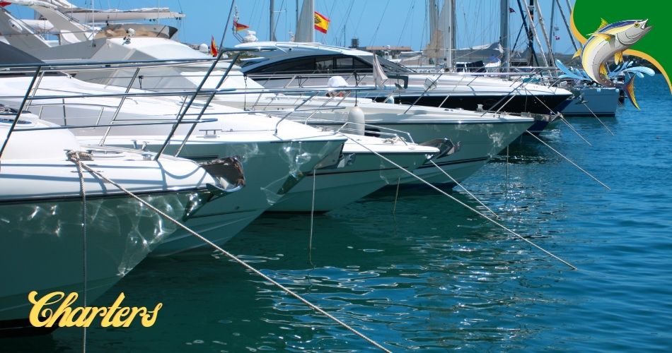Gulfport fishing charters