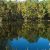Fishing Lakes In Hawaii