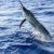 Grand Haven Fishing Charters