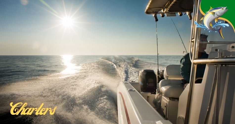 Newport Beach fishing charters