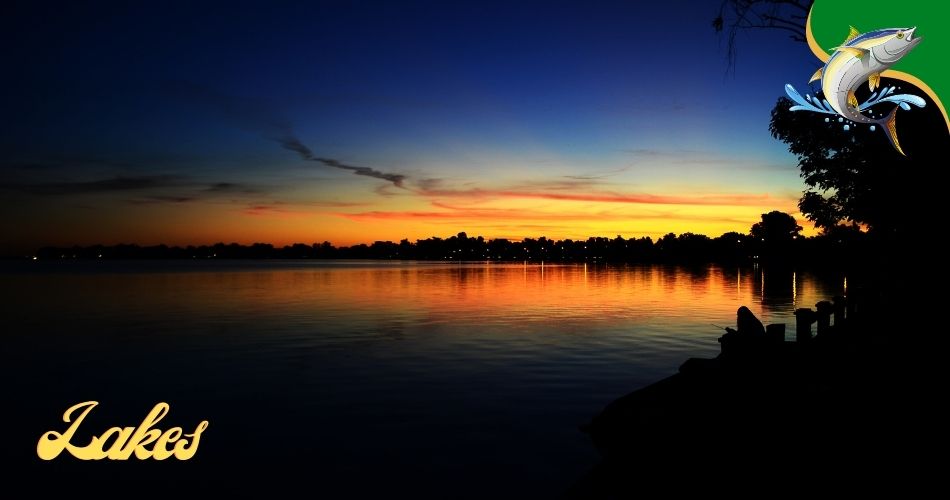 Fishing Lakes in Orange County