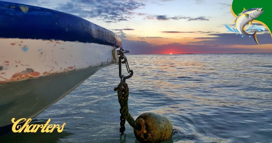 Tarpon Springs fishing charters