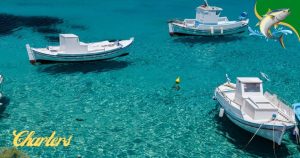 Jamaica fishing charters