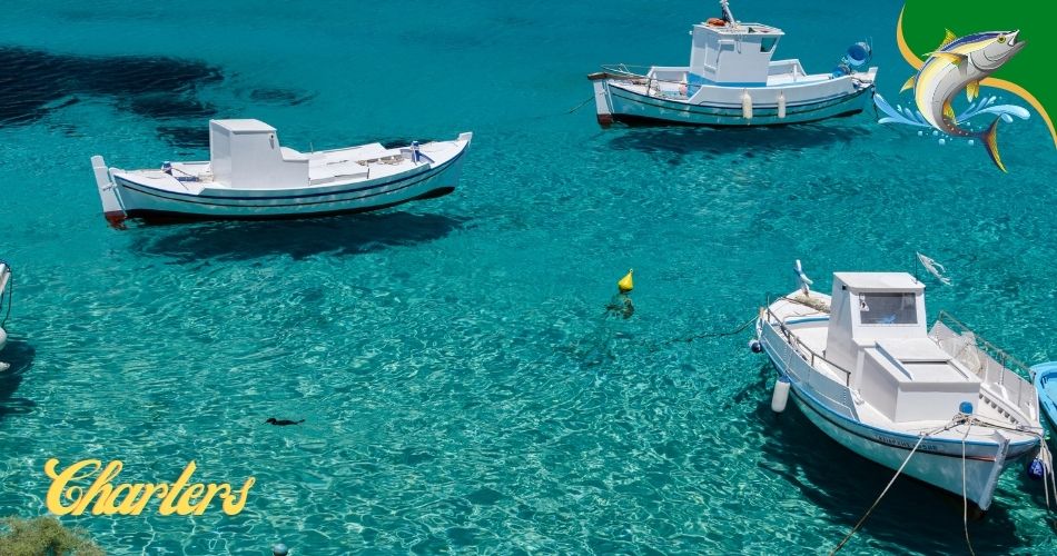 Jamaica fishing charters