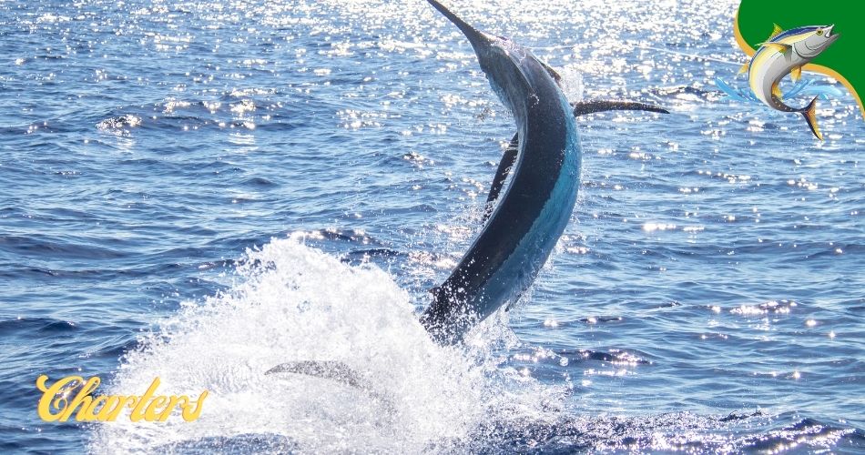 Flathead Lake fishing charters