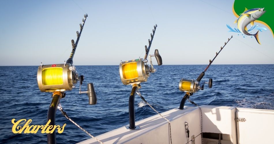 Longboat Key fishing charters